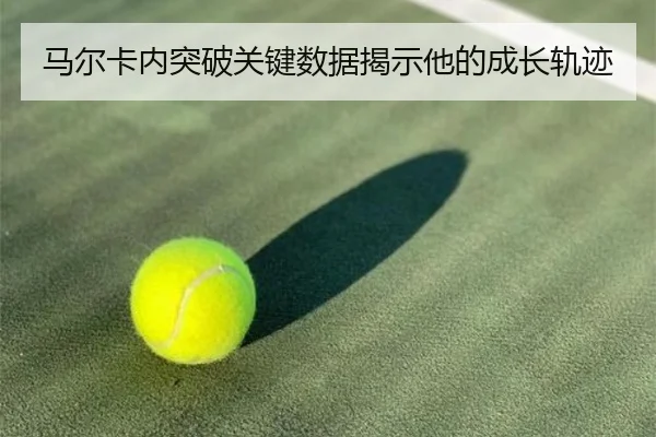 马尔卡内突破关键数据揭示他的成长轨迹