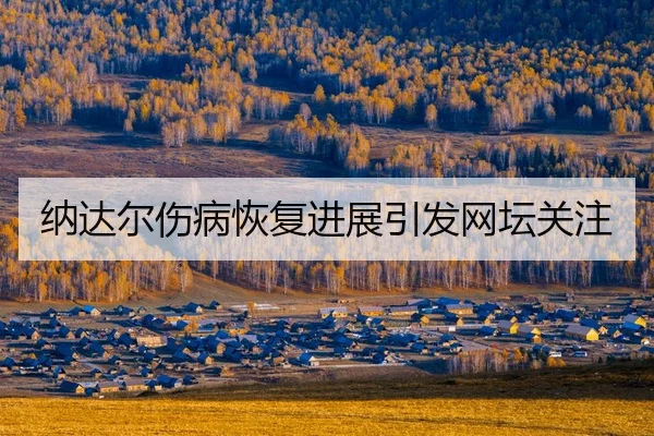 na-da-er-shang-bing-hui-fu-jin-zhan-yin-fa-wang-tan-guan-zhu-2-828.jpg